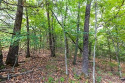 property photo for Heritage Bend Tract 16, 10.07 acres for sale in Taney County, Missouri