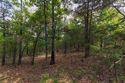 property photo for Heritage Bend Tract 16, 10.07 acres for sale in Taney County, Missouri