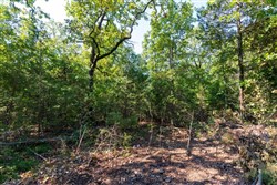 property photo for Heritage Bend Tract 16, 10.07 acres for sale in Taney County, Missouri