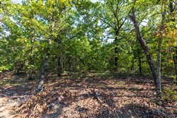 property photo for Heritage Bend Tract 16, 10.07 acres for sale in Taney County, Missouri