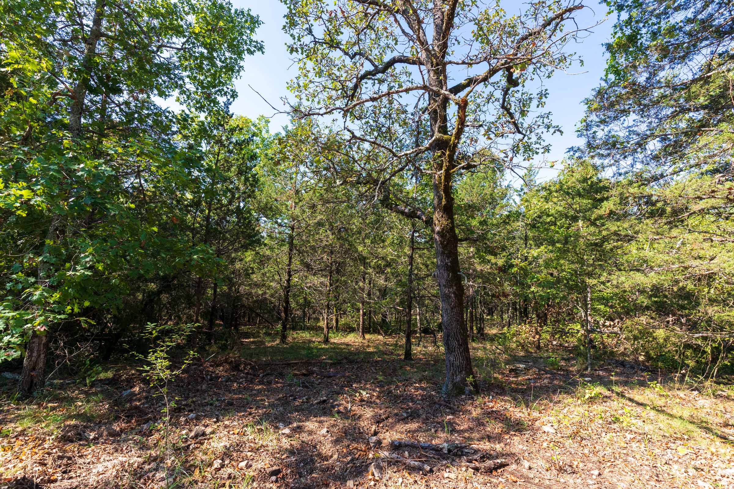 Tract 17 at Heritage Bend in Taney County, Missouri