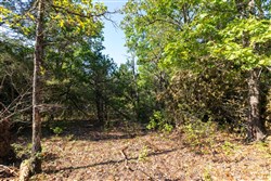 property photo for Heritage Bend Tract 17, 13.15 acres for sale in Taney County, Missouri