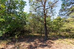 property photo for Heritage Bend Tract 17, 13.15 acres for sale in Taney County, Missouri