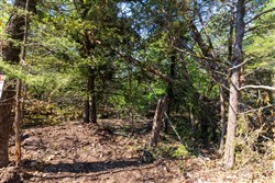 property photo for Heritage Bend Tract 17, 13.15 acres for sale in Taney County, Missouri