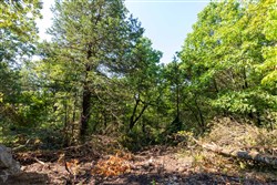 property photo for Heritage Bend Tract 17, 13.15 acres for sale in Taney County, Missouri