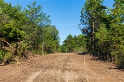 property photo for Heritage Bend Tract 18, 11.76 acres for sale in Taney County, Missouri