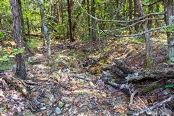 property photo for Heritage Bend Tract 18, 11.76 acres for sale in Taney County, Missouri