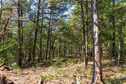 property photo for Heritage Bend Tract 18, 11.76 acres for sale in Taney County, Missouri