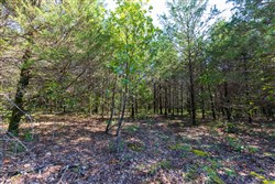 property photo for Heritage Bend Tract 18, 11.76 acres for sale in Taney County, Missouri