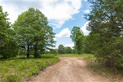 property photo for Heritage Bend Tract 19, 10.04 acres for sale in Taney County, Missouri