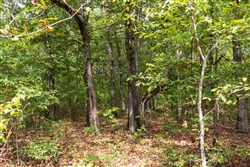 property photo for Heritage Bend Tract 19, 10.04 acres for sale in Taney County, Missouri