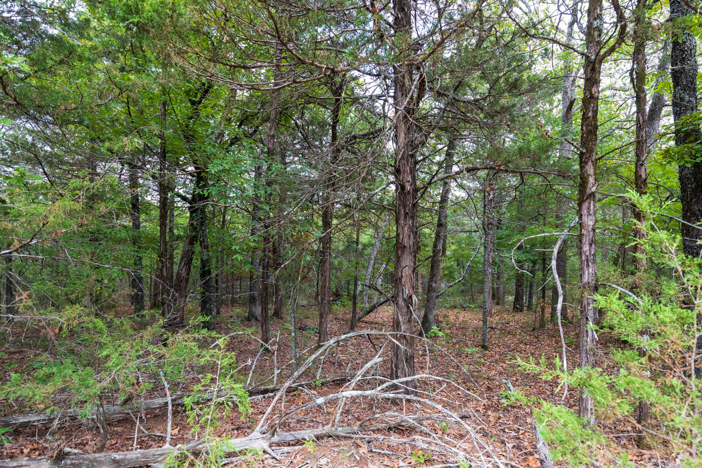 Tract 20 at Heritage Bend in Taney County, Missouri