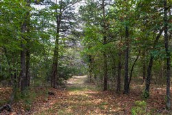 property photo for Heritage Bend Tract 20, 11.27 acres for sale in Taney County, Missouri