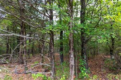 property photo for Heritage Bend Tract 20, 11.27 acres for sale in Taney County, Missouri