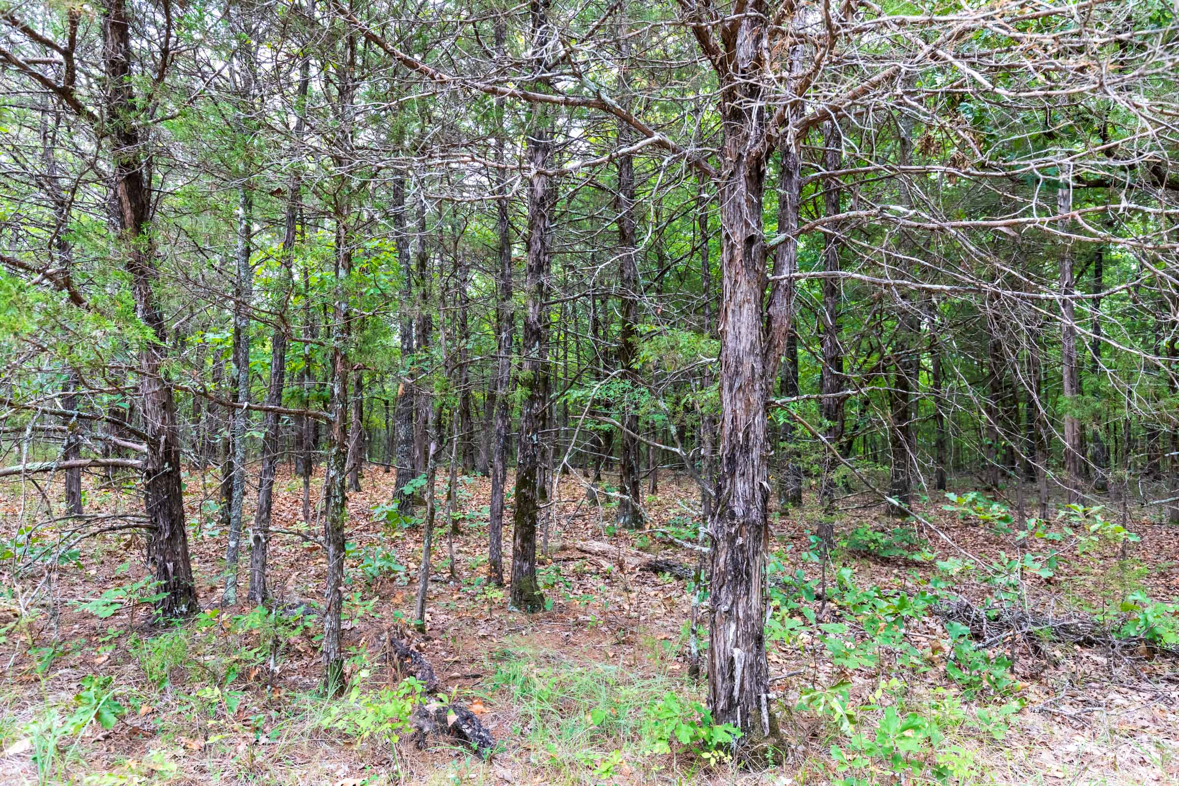 Tract 21 at Heritage Bend in Taney County, Missouri