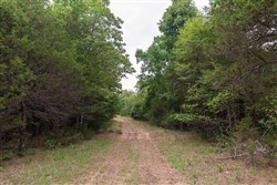 property photo for Heritage Bend Tract 21, 13.62 acres for sale in Taney County, Missouri