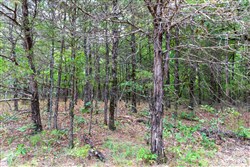 property photo for Heritage Bend Tract 21, 13.62 acres for sale in Taney County, Missouri