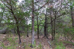 property photo for Heritage Bend Tract 21, 13.62 acres for sale in Taney County, Missouri