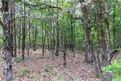 property photo for Heritage Bend Tract 21, 13.62 acres for sale in Taney County, Missouri