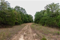 property photo for Heritage Bend Tract 21, 13.62 acres for sale in Taney County, Missouri