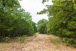 property photo for Heritage Bend Tract 22, 14 acres for sale in Taney County, Missouri
