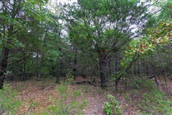 property photo for Heritage Bend Tract 22, 14 acres for sale in Taney County, Missouri