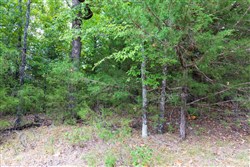 property photo for Heritage Bend Tract 22, 14 acres for sale in Taney County, Missouri