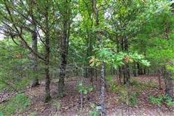 property photo for Heritage Bend Tract 22, 14 acres for sale in Taney County, Missouri