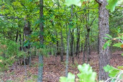 property photo for Heritage Bend Tract 22, 14 acres for sale in Taney County, Missouri