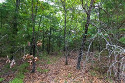 property photo for Heritage Bend Tract 22, 14 acres for sale in Taney County, Missouri