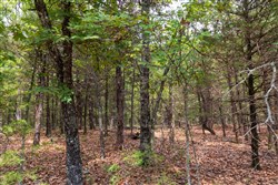 Heritage Bend Tract 23