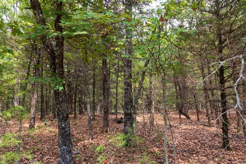 Heritage Bend Tract 23