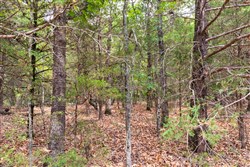 Heritage Bend Tract 23