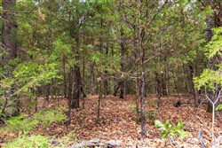 Heritage Bend Tract 23