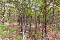 Heritage Bend Tract 23