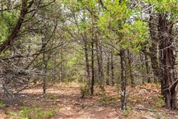 property photo for Heritage Bend Tract 24, 13.76 acres for sale in Taney County, Missouri