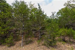 property photo for Heritage Bend Tract 24, 13.76 acres for sale in Taney County, Missouri
