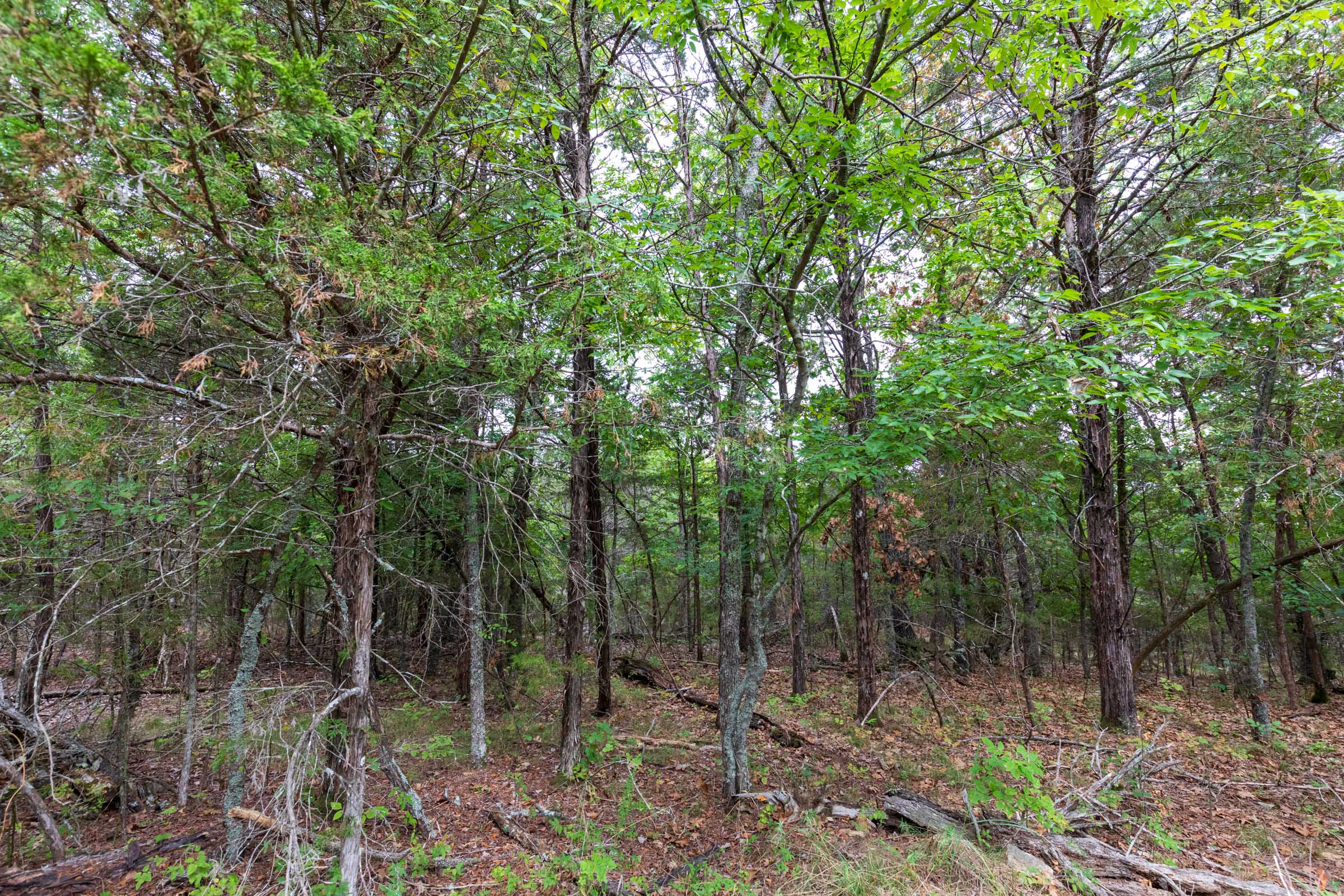 Tract 25 at Heritage Bend in Taney County, Missouri