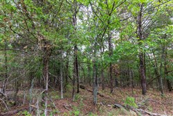 property photo for Heritage Bend Tract 25, 11.86 acres for sale in Taney County, Missouri