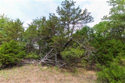 property photo for Heritage Bend Tract 25, 11.86 acres for sale in Taney County, Missouri