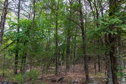 property photo for Heritage Bend Tract 25, 11.86 acres for sale in Taney County, Missouri