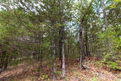 property photo for Heritage Bend Tract 25, 11.86 acres for sale in Taney County, Missouri