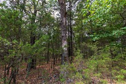 property photo for Heritage Bend Tract 26, 10.34 acres for sale in Taney County, Missouri