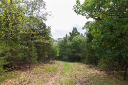 property photo for Heritage Bend Tract 26, 10.34 acres for sale in Taney County, Missouri