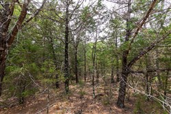 property photo for Heritage Bend Tract 26, 10.34 acres for sale in Taney County, Missouri