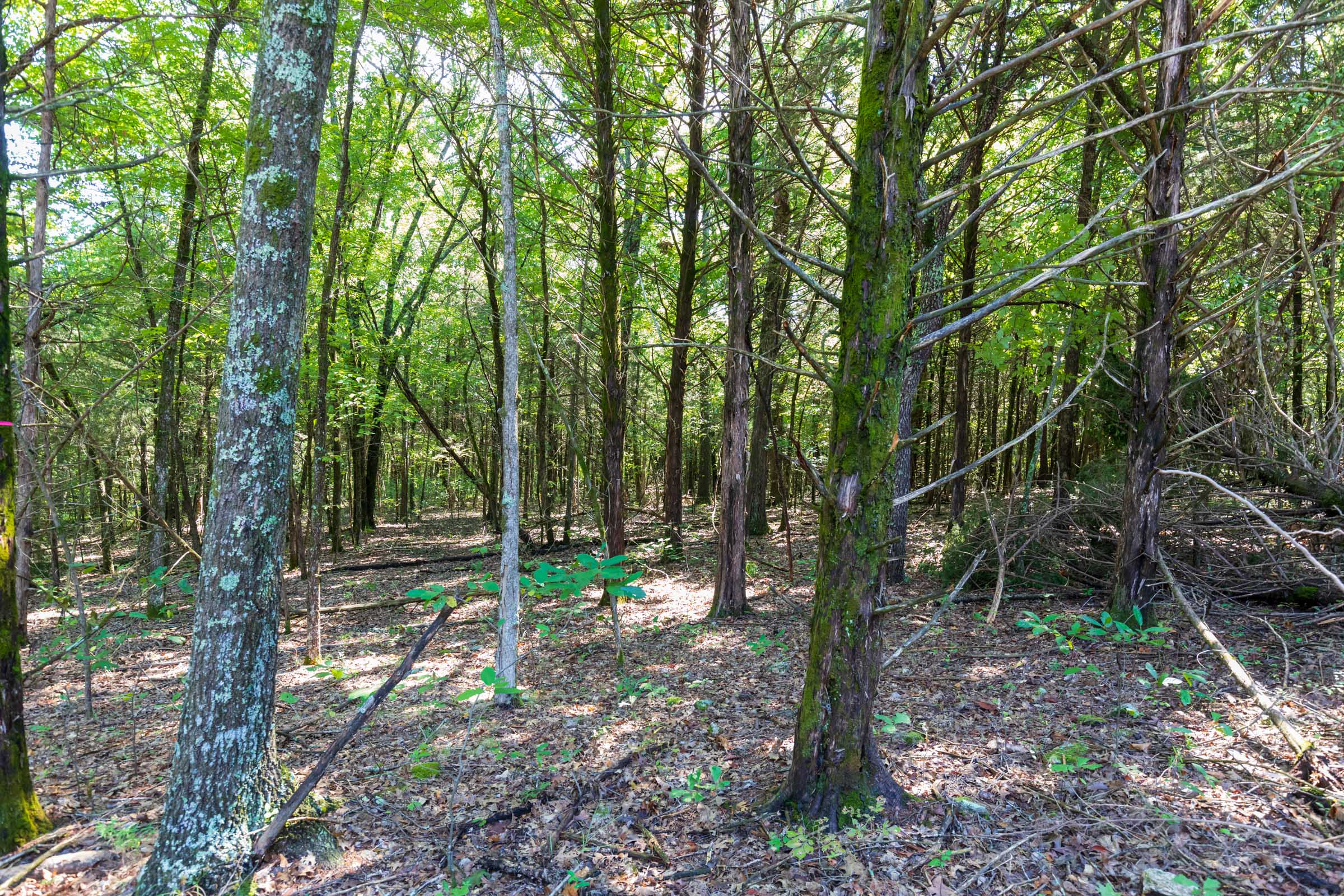Tract 28 at Heritage Bend in Taney County, Missouri