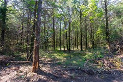 property photo for Heritage Bend Tract 28, 13.91 acres for sale in Taney County, Missouri