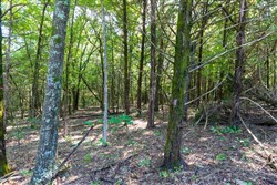 property photo for Heritage Bend Tract 28, 13.91 acres for sale in Taney County, Missouri