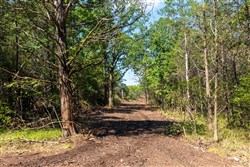 property photo for Heritage Bend Tract 28, 13.91 acres for sale in Taney County, Missouri