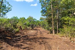 property photo for Heritage Bend Tract 29, 12.83 acres for sale in Taney County, Missouri